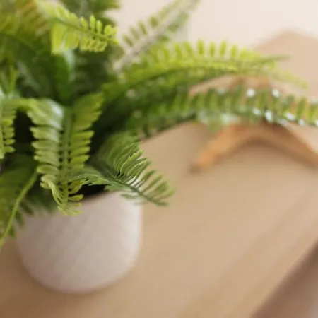 شقة Casa Mar E Sol - Da Consolacao اتوغويه ده باليه