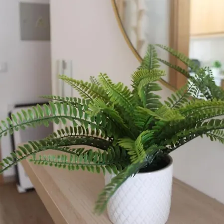 Casa Mar E Sol - Da Consolacao شقة