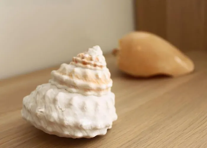 Casa Mar E Sol - Da Consolação Apartamento