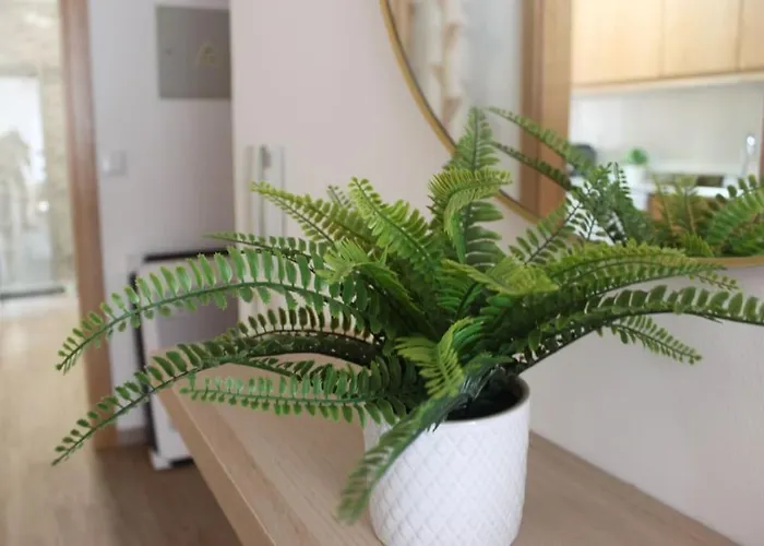 Casa Mar E Sol - Da Consolação Apartamento